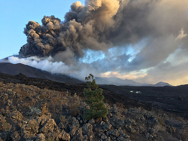 The ongoing eruption at the Cumbre Vieja volcano: huge emissions of ashes and gases. Photo: © Theodoros Ntaflos, Federico Casetta / Universität Wien