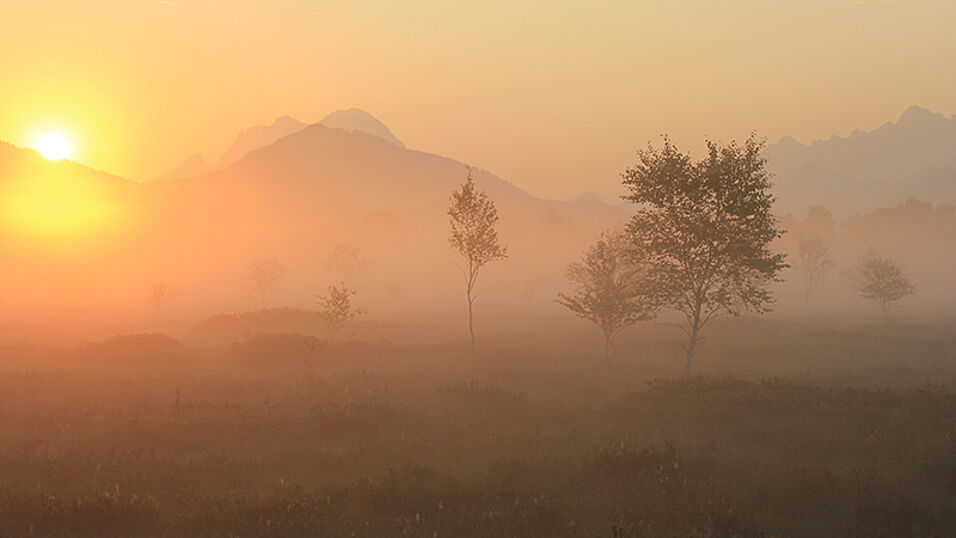 Sonnenaufgang im Pürgschachen Moor