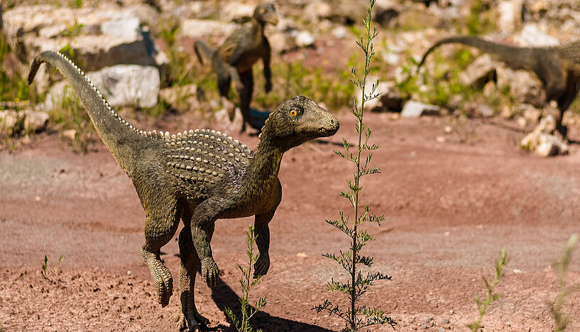 Dinosaurier auf roter Erde - CC, Dariusz Sankowski on Pixabay