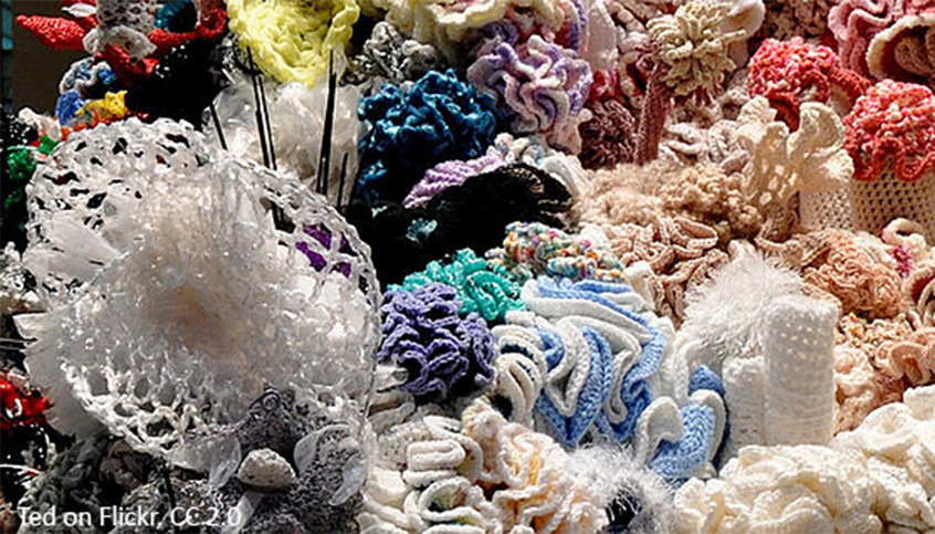 Hyperbolic Crochet Coral Reef CC Ted on Flickr, 2.0