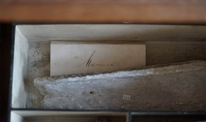 Manuskript in Kuvert von Unbekannt aus der Paläontologischen Sammlung (C) Martin Maslo