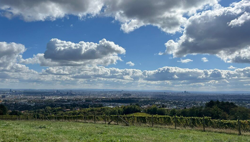 Clouds over wine yard and city skyline © Nora Gau
