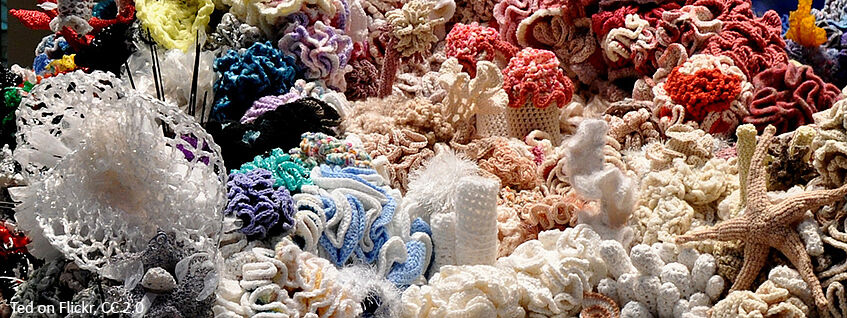 Hyperbolic Crochet Coral Reef Natural History Museum Washington D.C., Photo by Ted on Flickr, CC 2.0